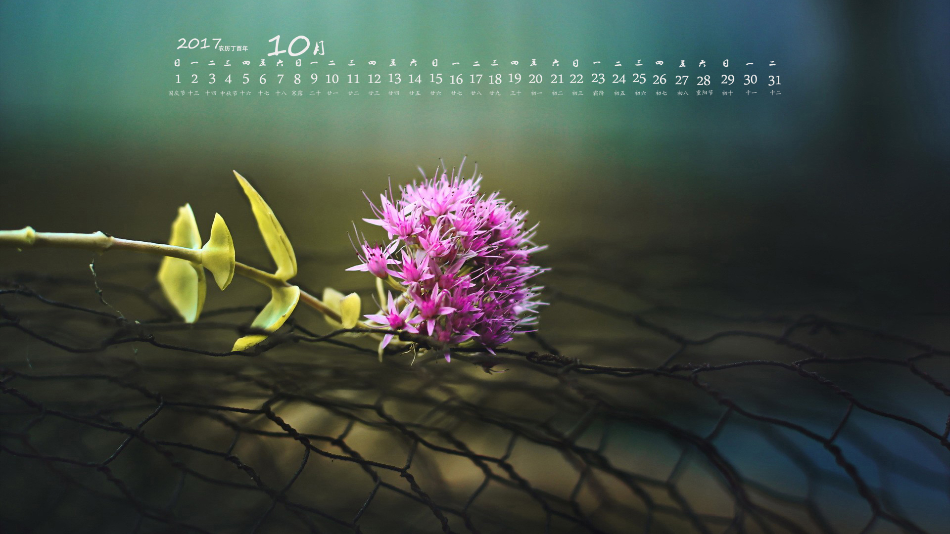 月历 2017年10月