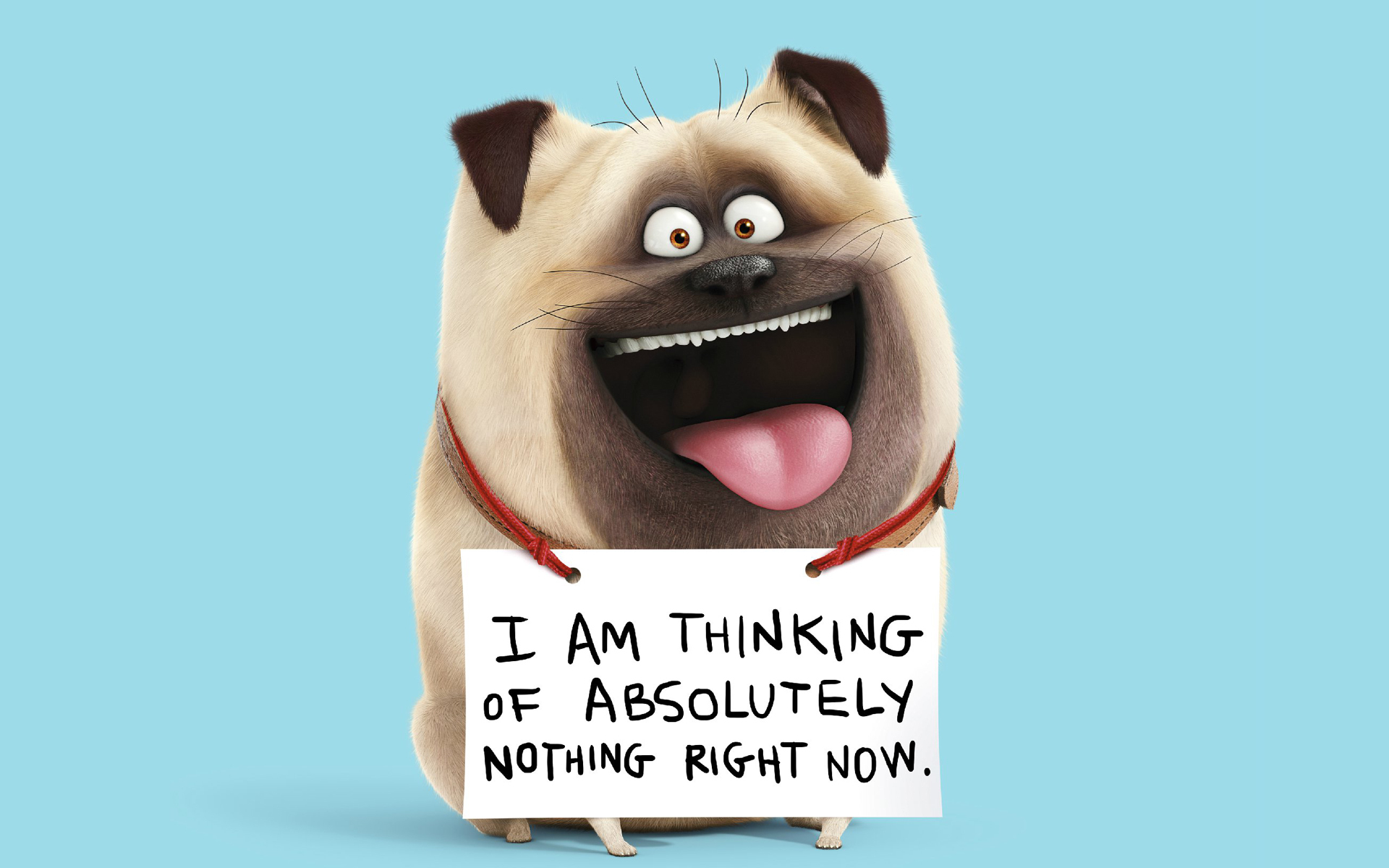 动漫 卡通 爱宠大机密 狗