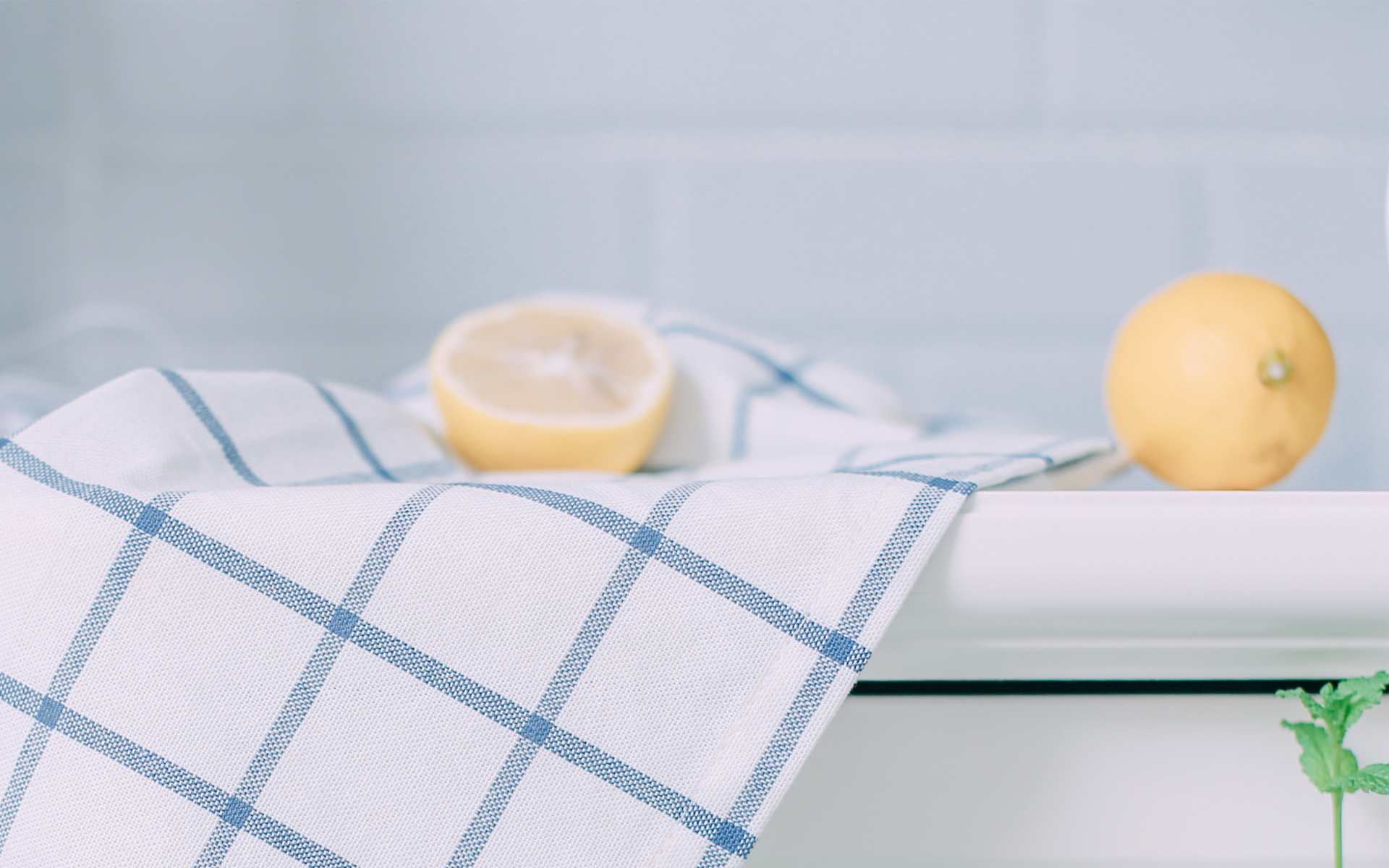 小清新 静物写真 柠檬