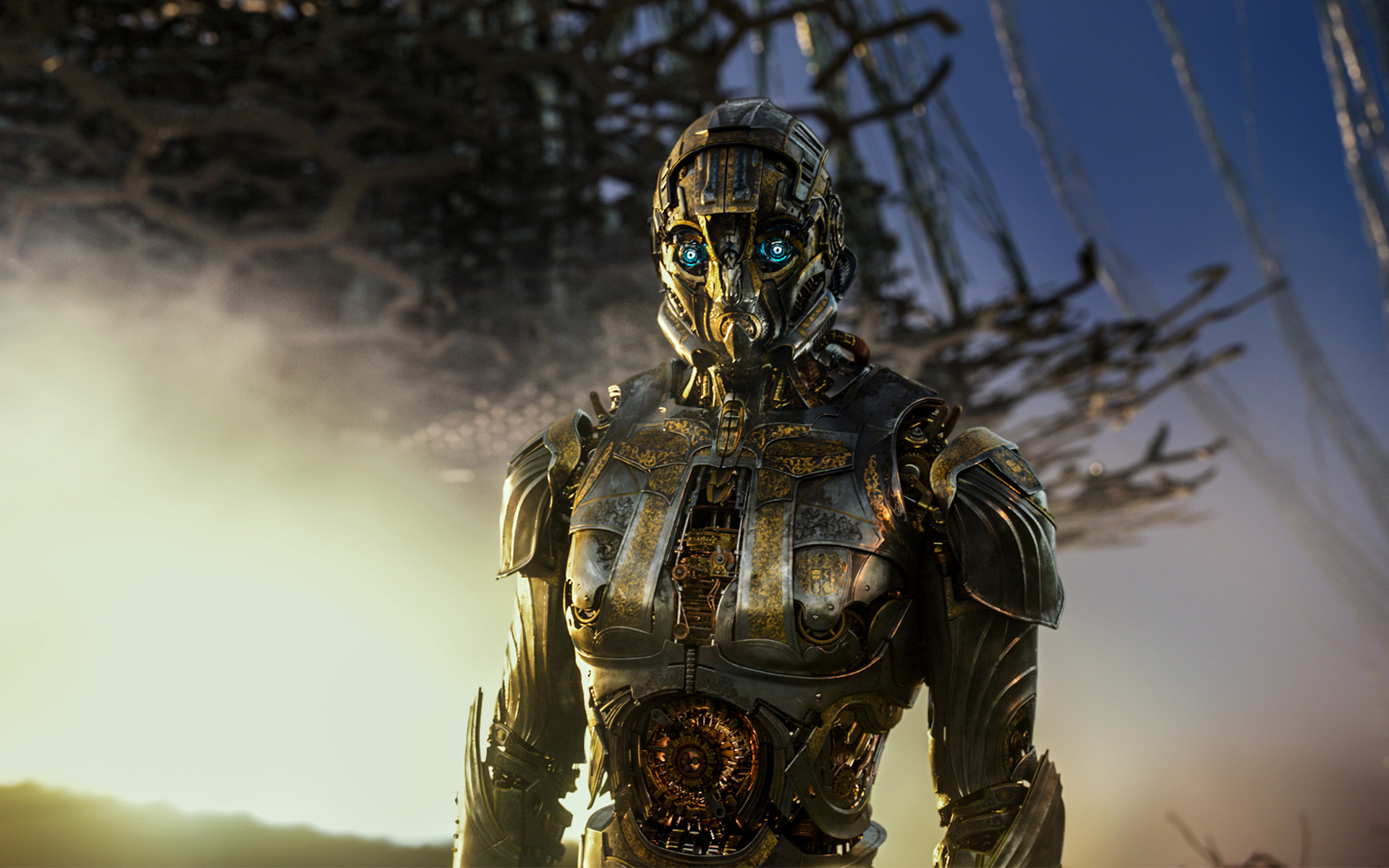 影视 电影 变形金刚5