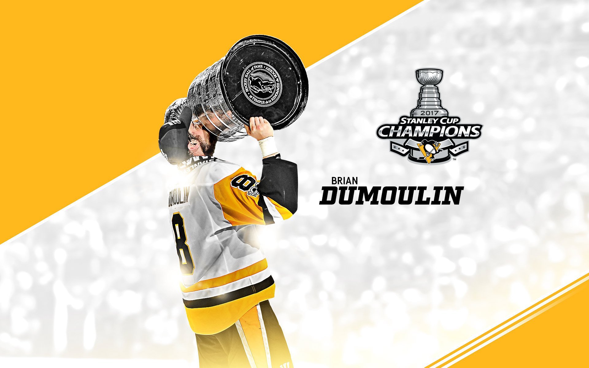 体育 运动 冰球 2017NHL总冠军