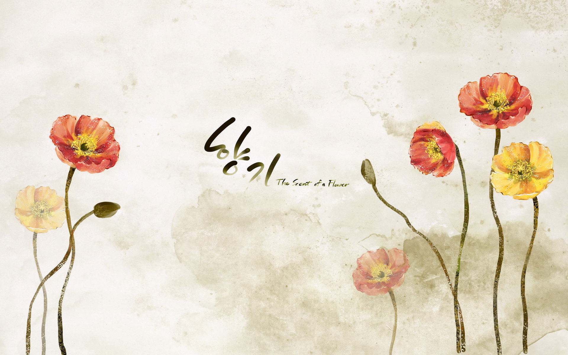 小清新  浪漫   简约  花卉   宽屏