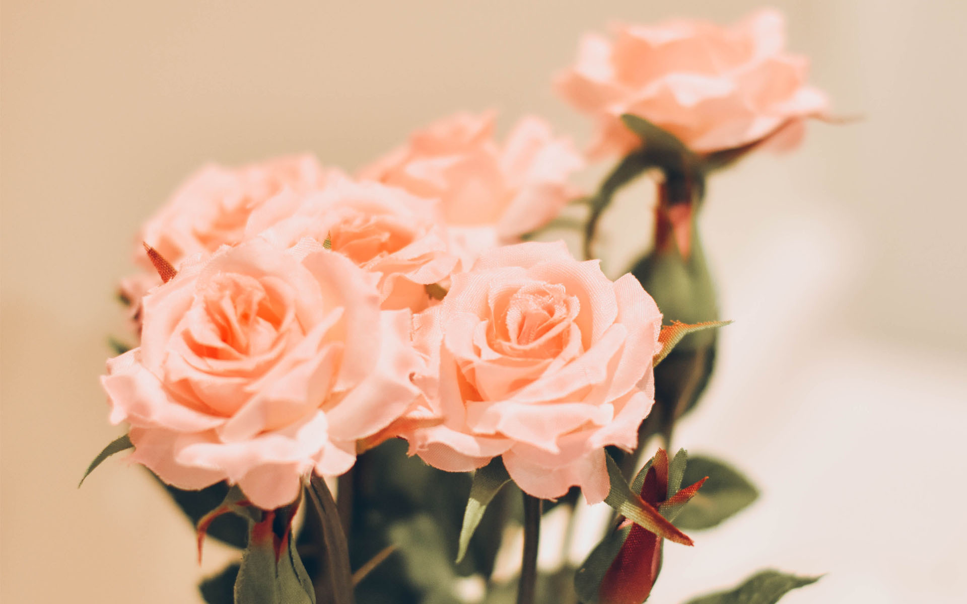 小清新 温馨一刻