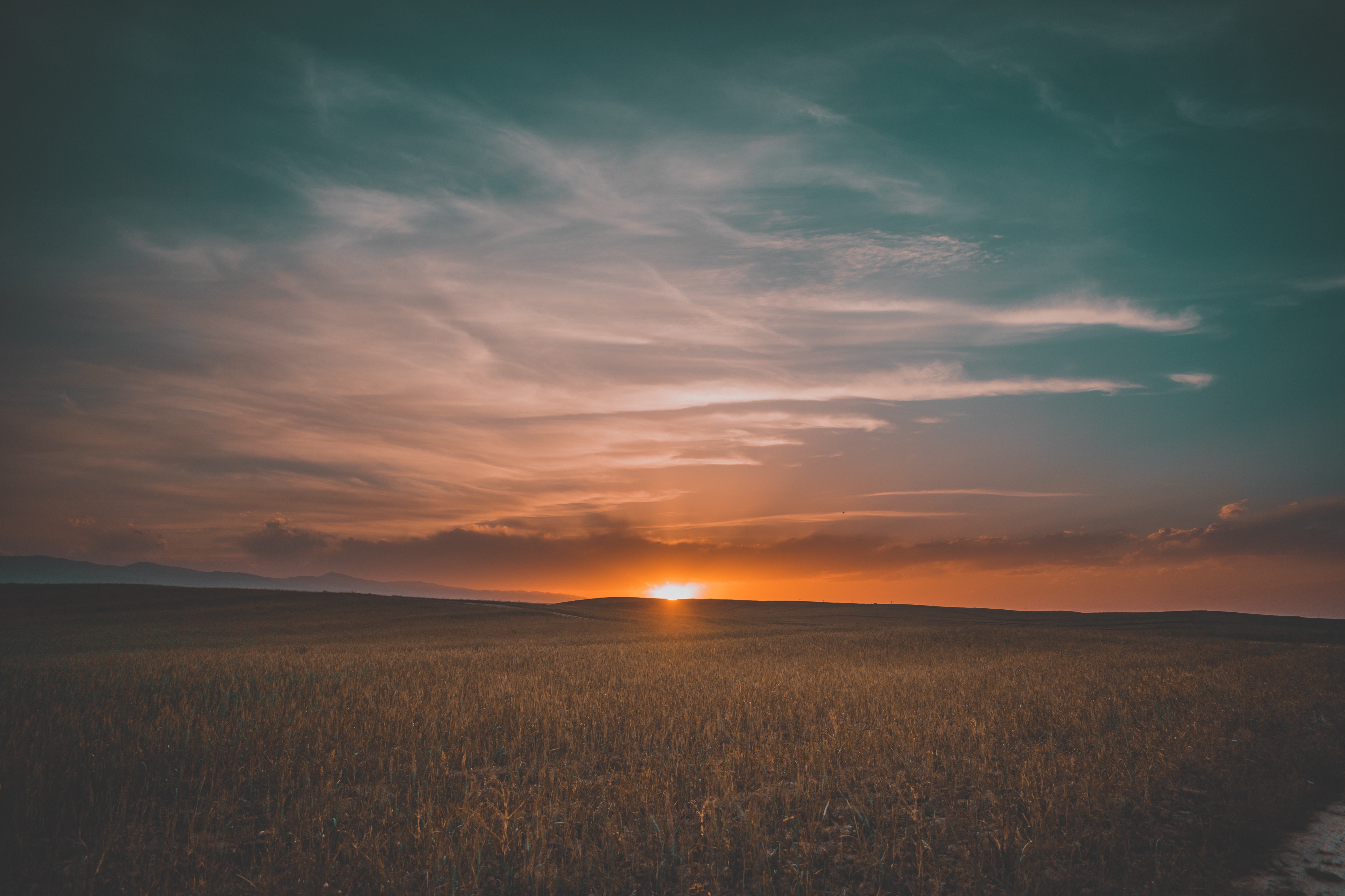 4K 夕阳 草原 草地
