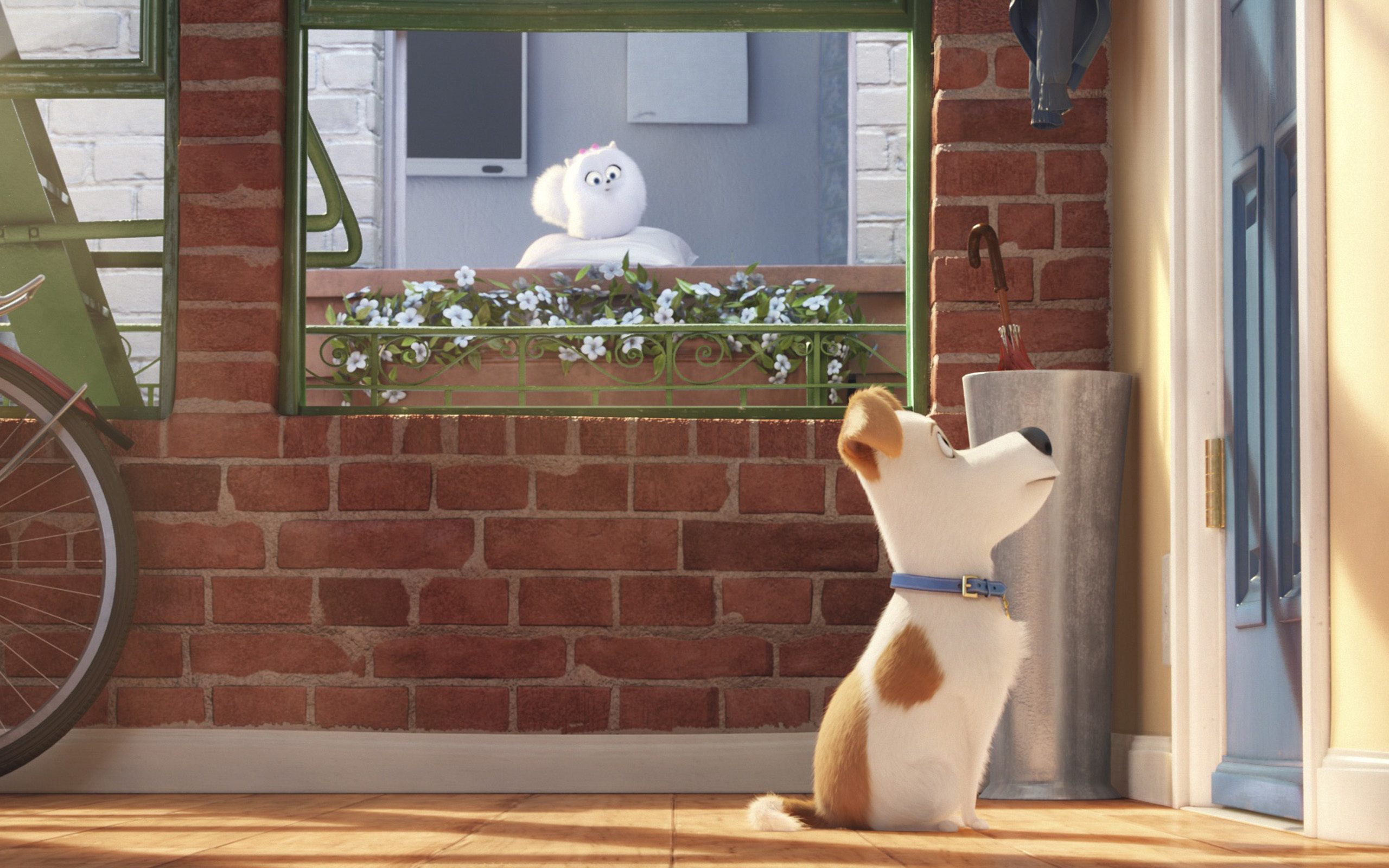 动漫 卡通 爱宠大机密 狗