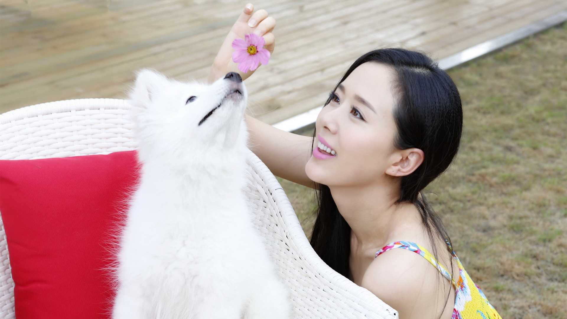 颜丹晨 美女 明星 宽屏