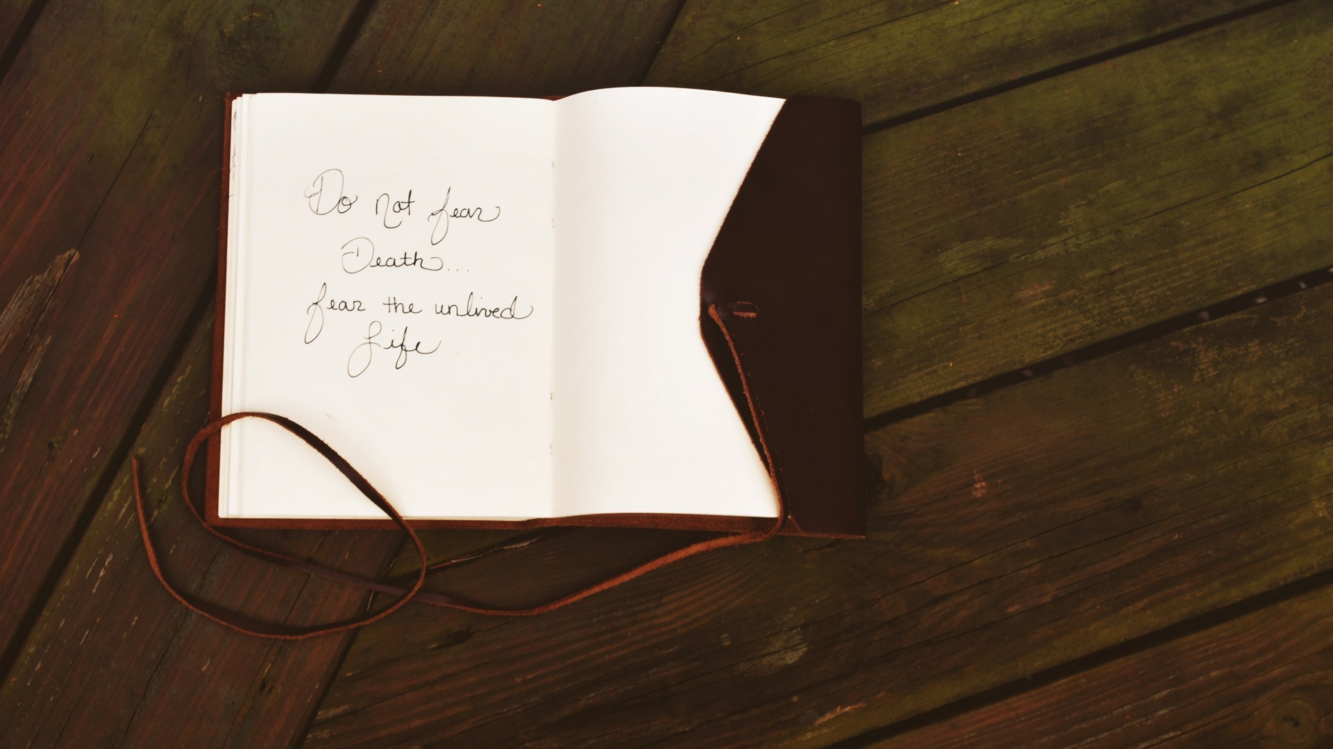 静物写真  安静的看书