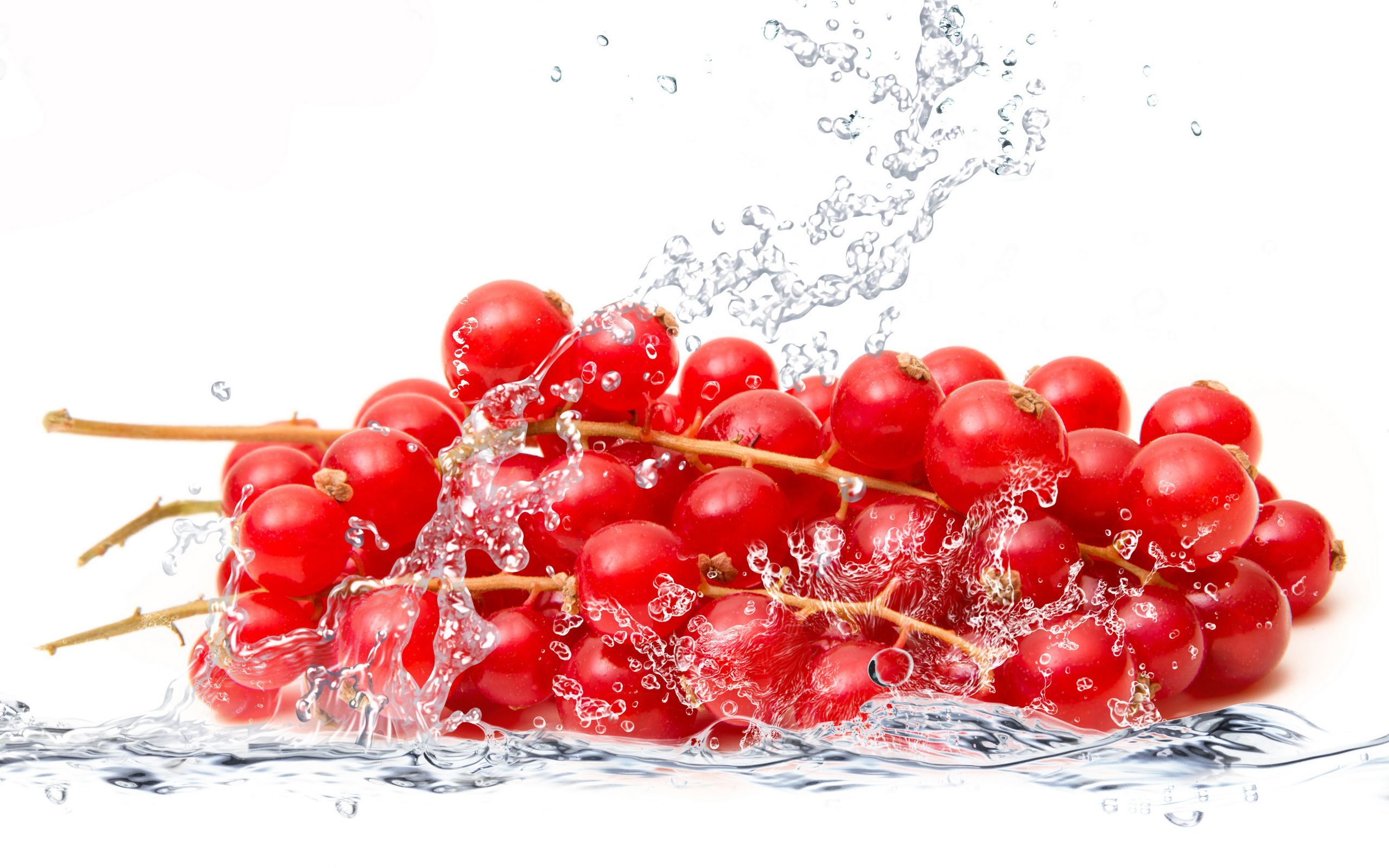 小清新 动感水果