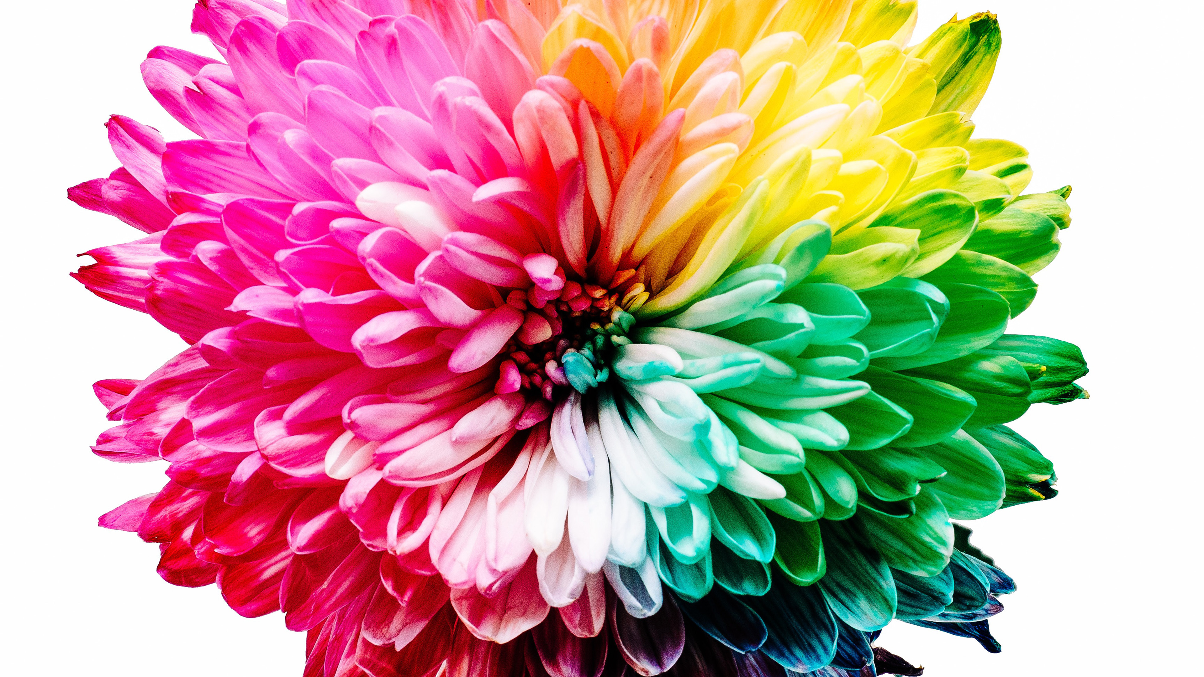 炫酷 色彩 烟雾 流体 爆炸