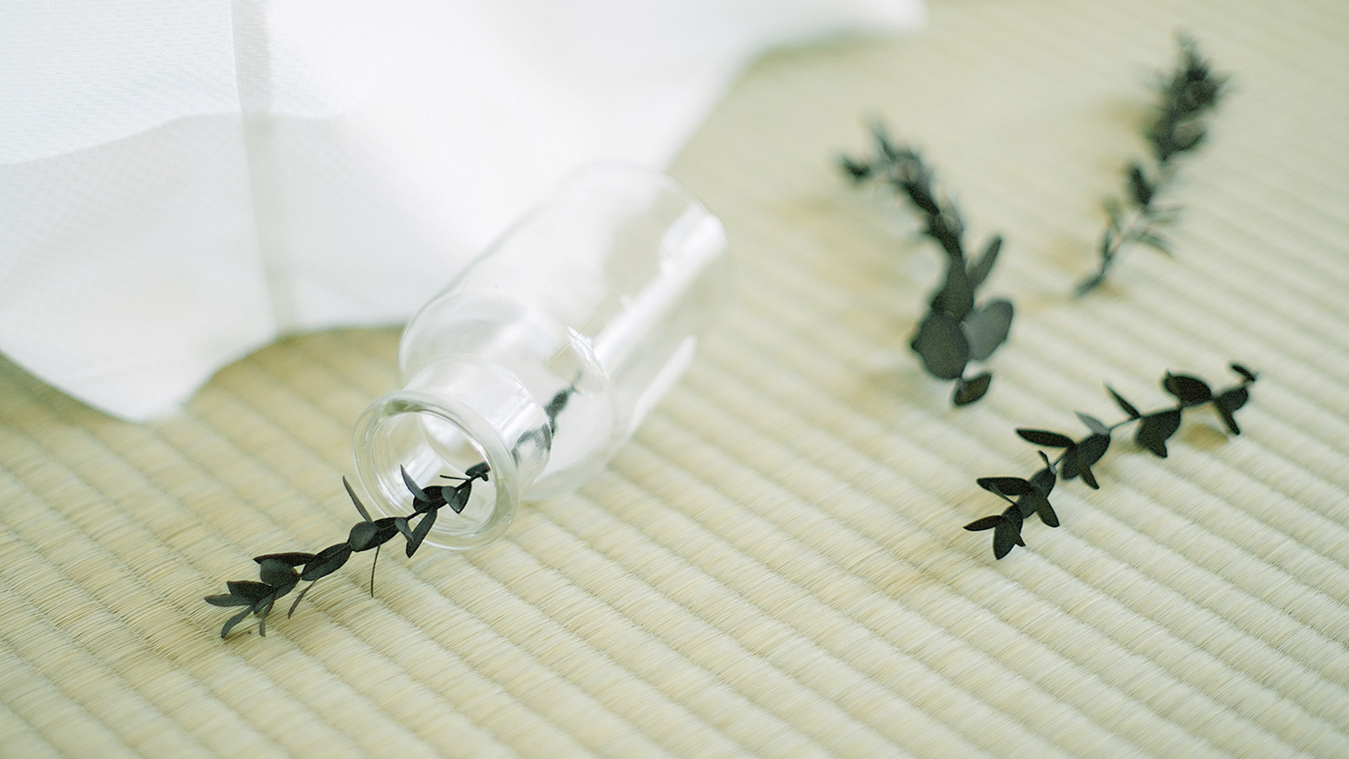 静物写真  室内唯美静物