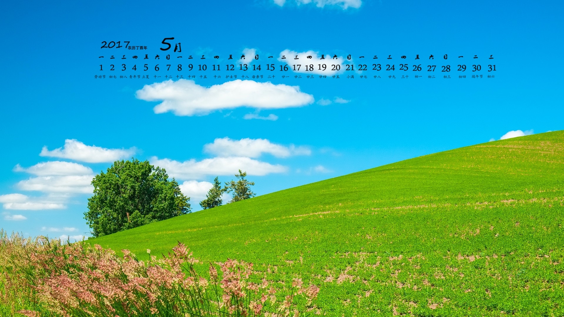 2017年5月 草地 蓝天白云