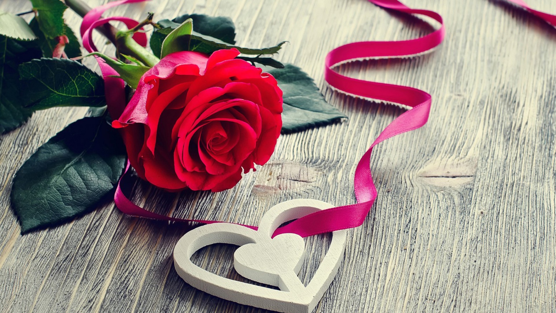 唯美温馨  情人节 情侣 玫瑰