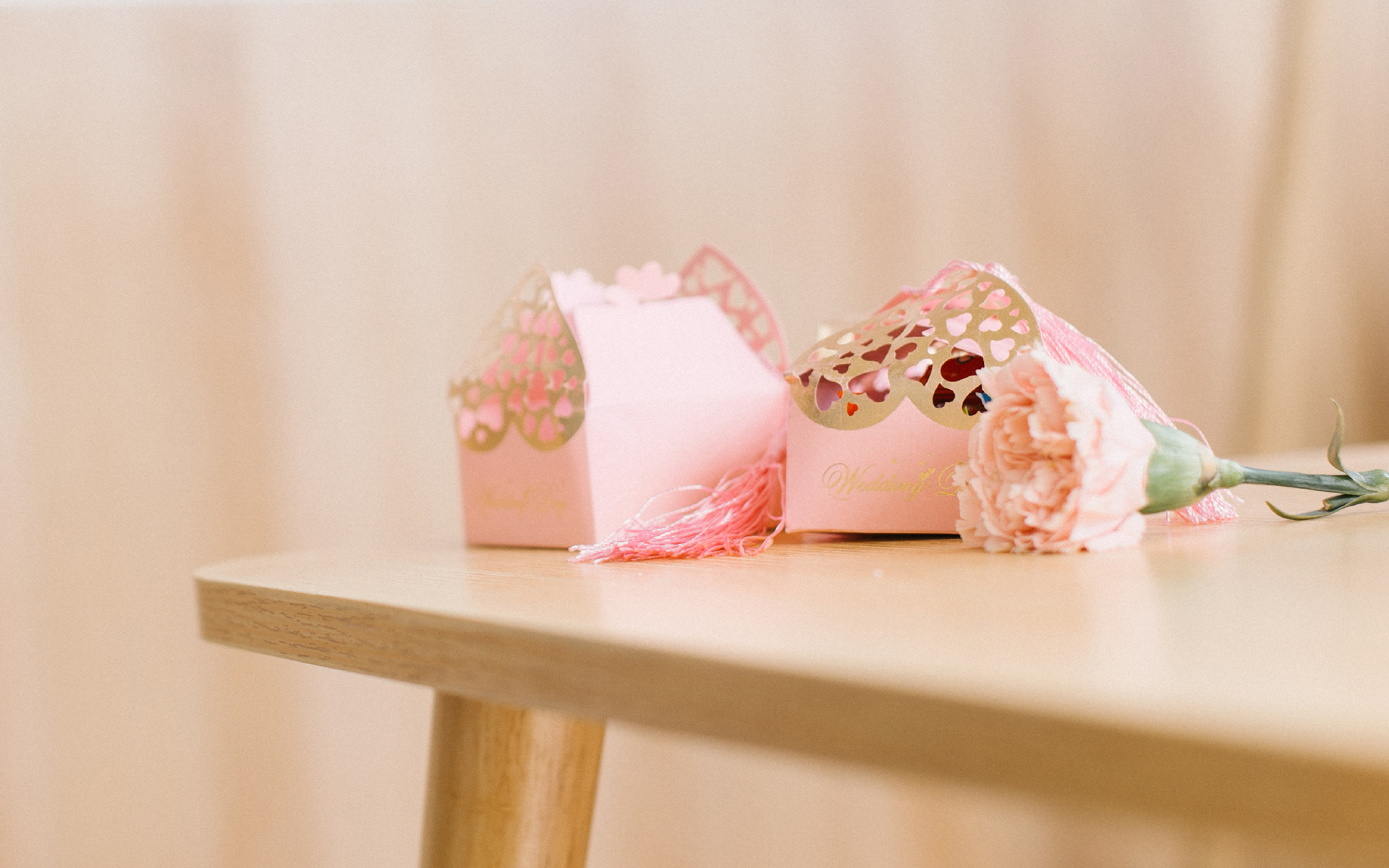 静物写真  文艺小清新