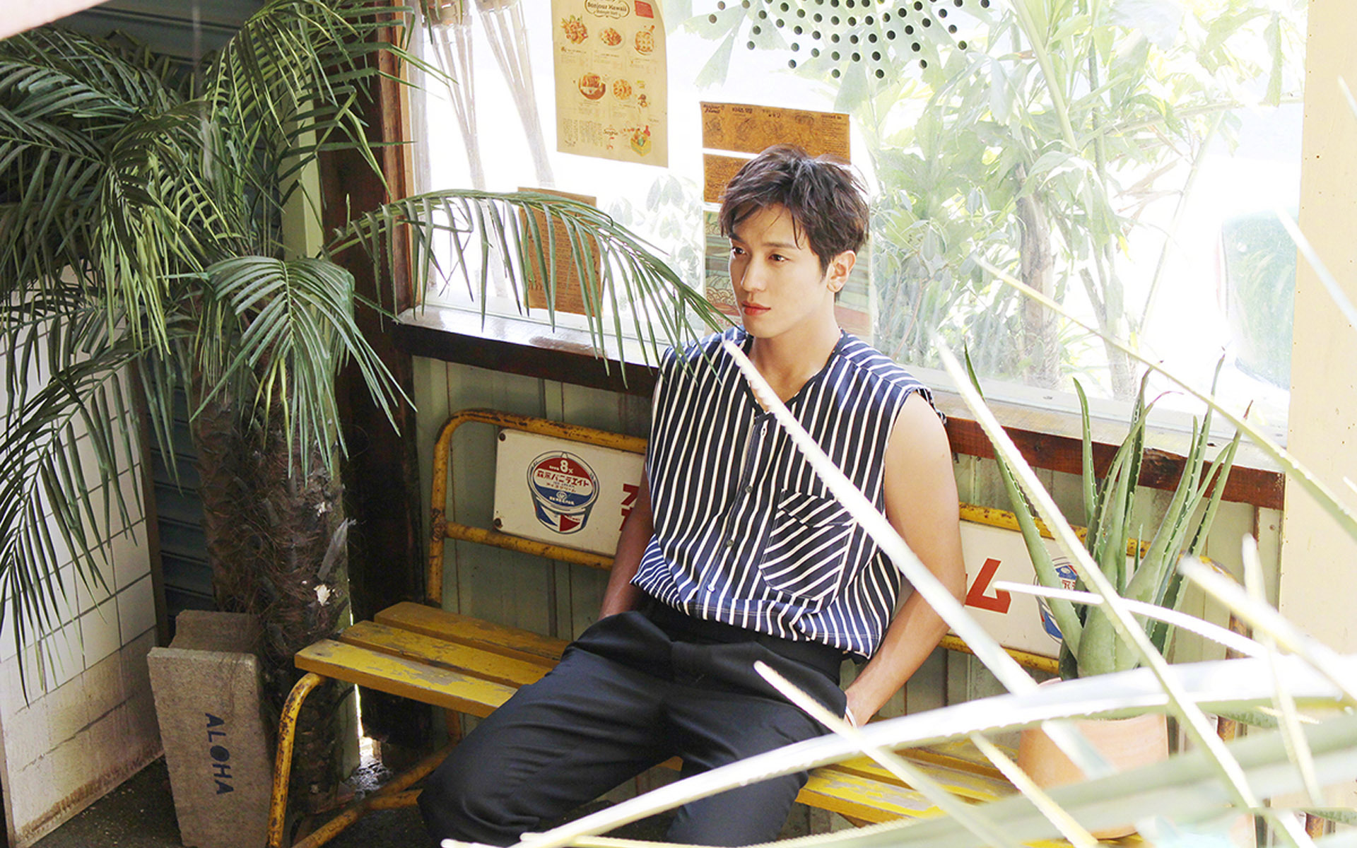 韩国  帅哥  郑容和