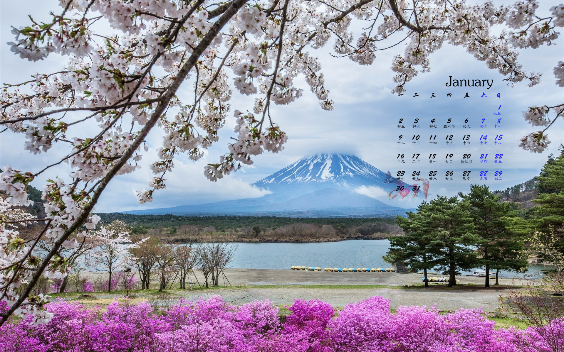1月 风景 富士山
