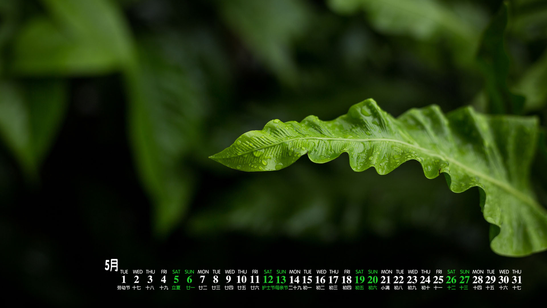 月历 2018年5月