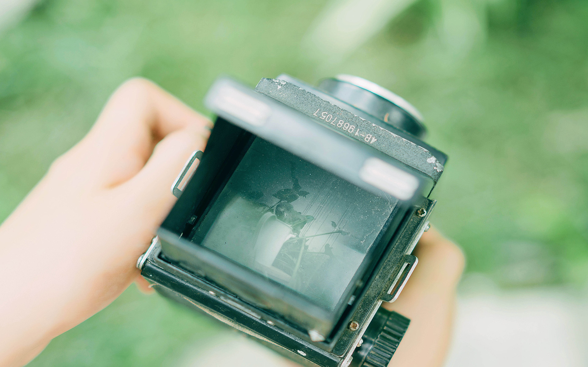 静物写真  照相机  夏日