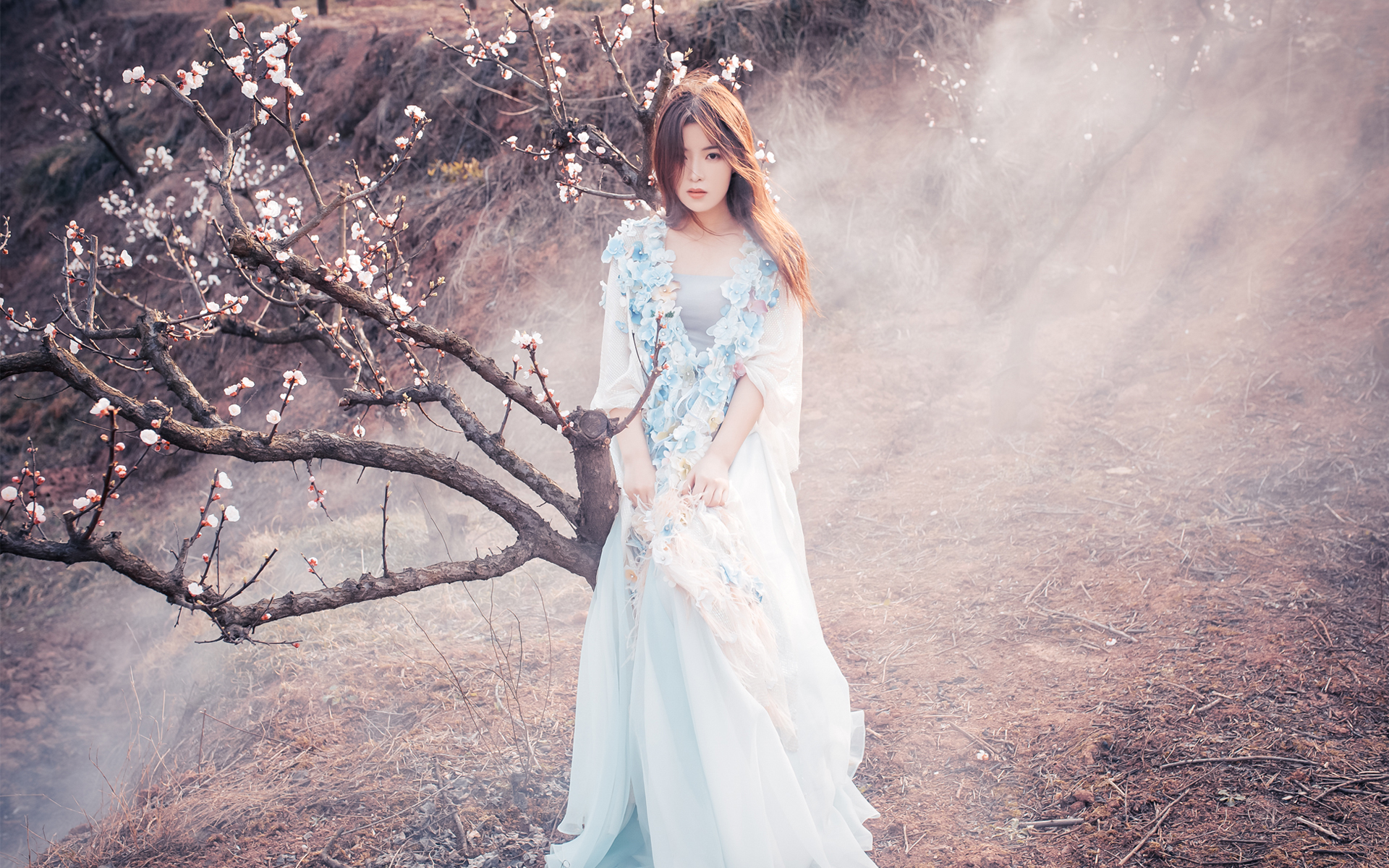 清纯 日系 唯美 樱花