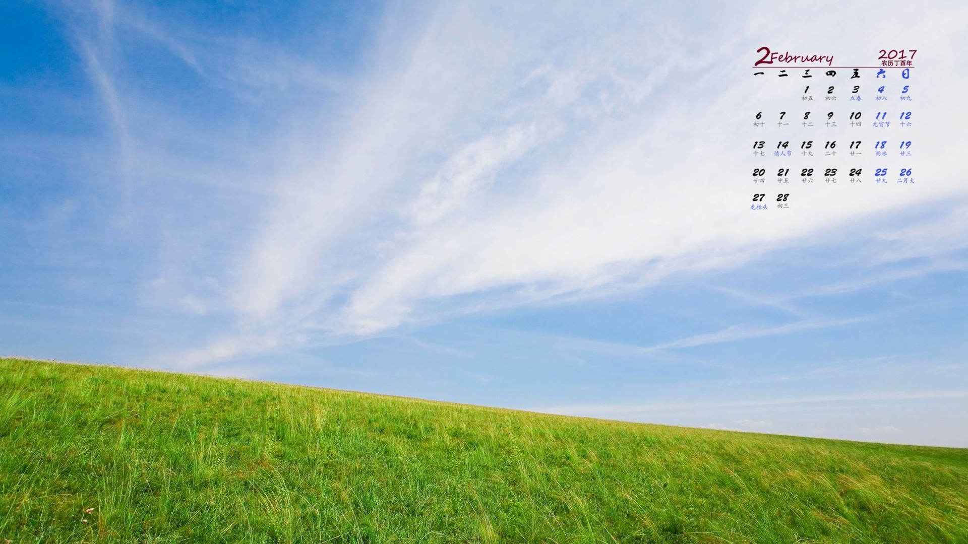 2月 草地 天空