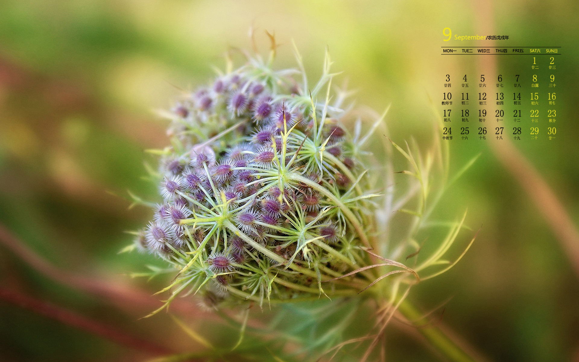 月历  9月  2018年9月