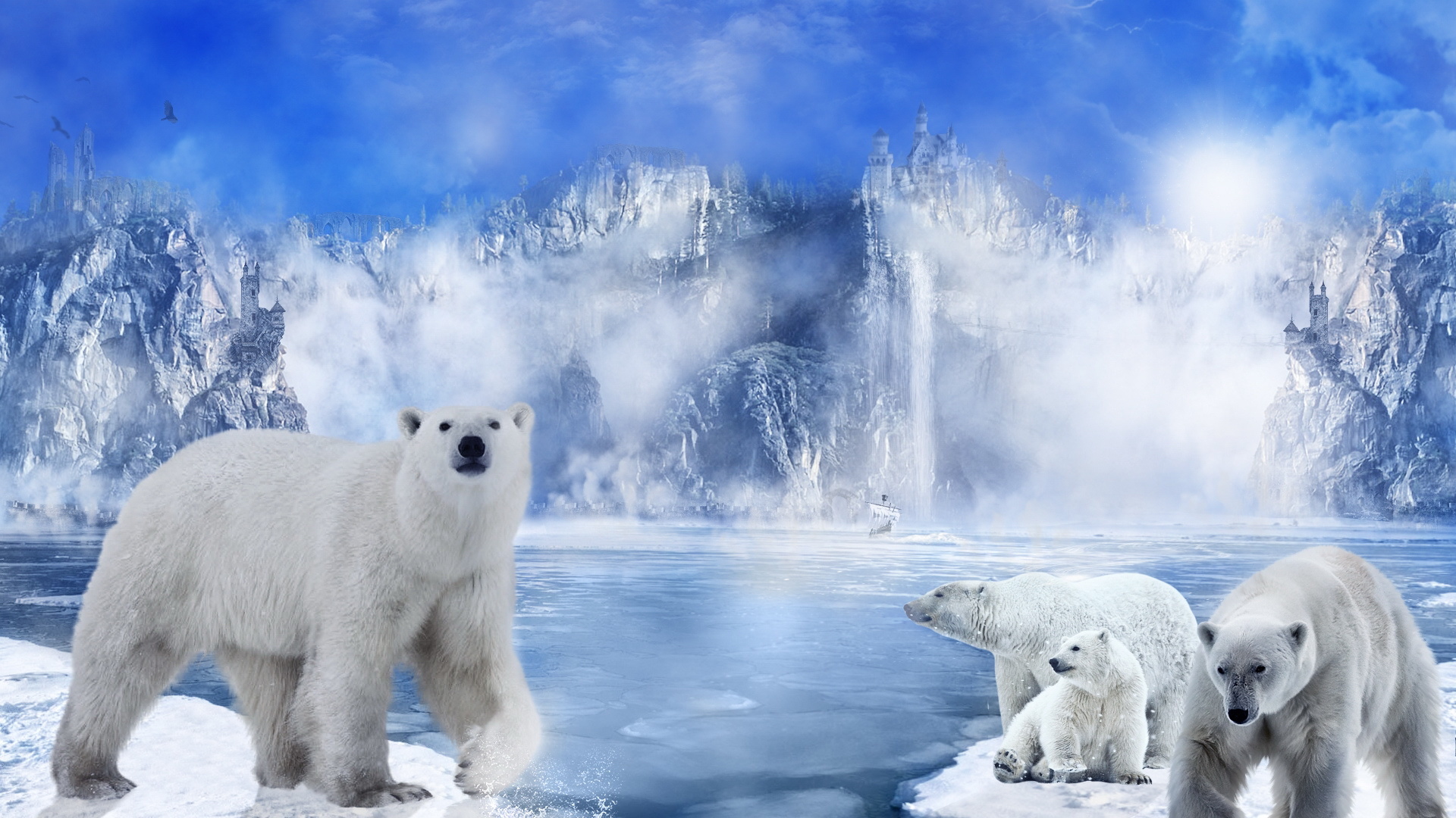 北极熊 北极 冰川