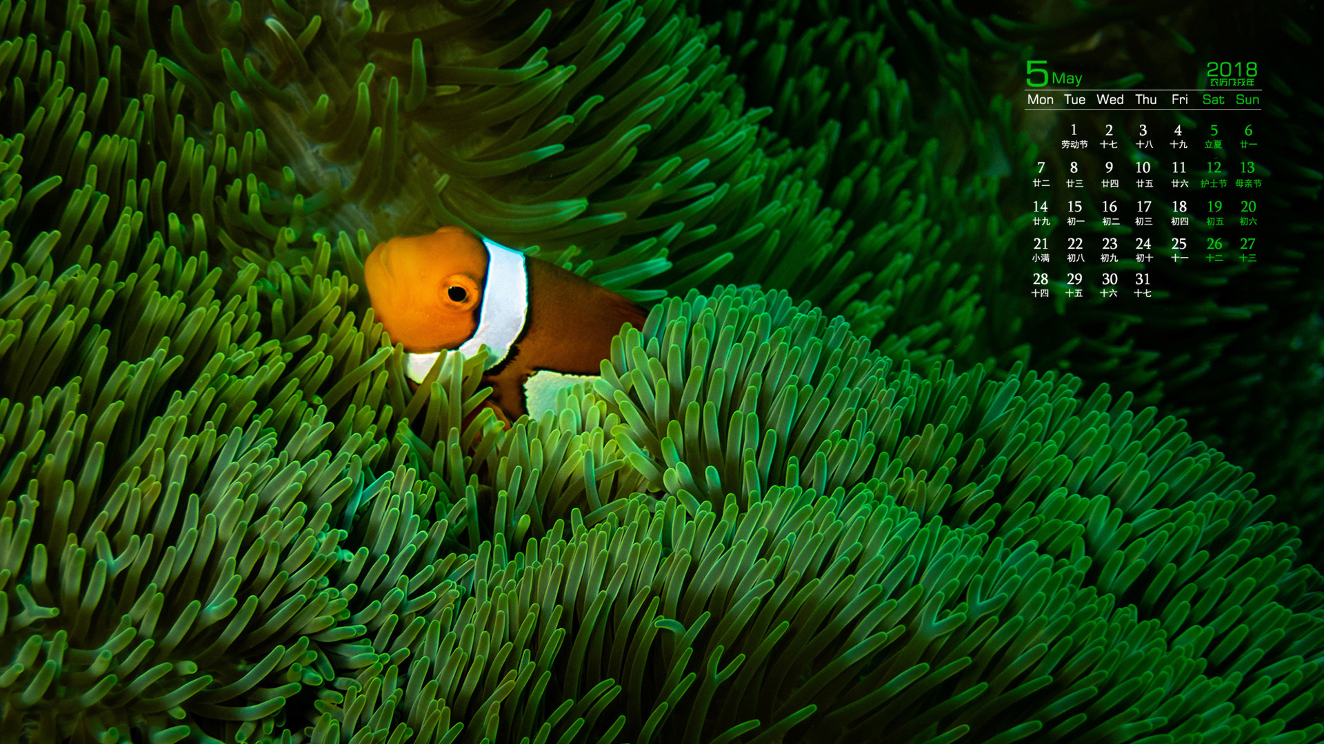 月历 2018年5月