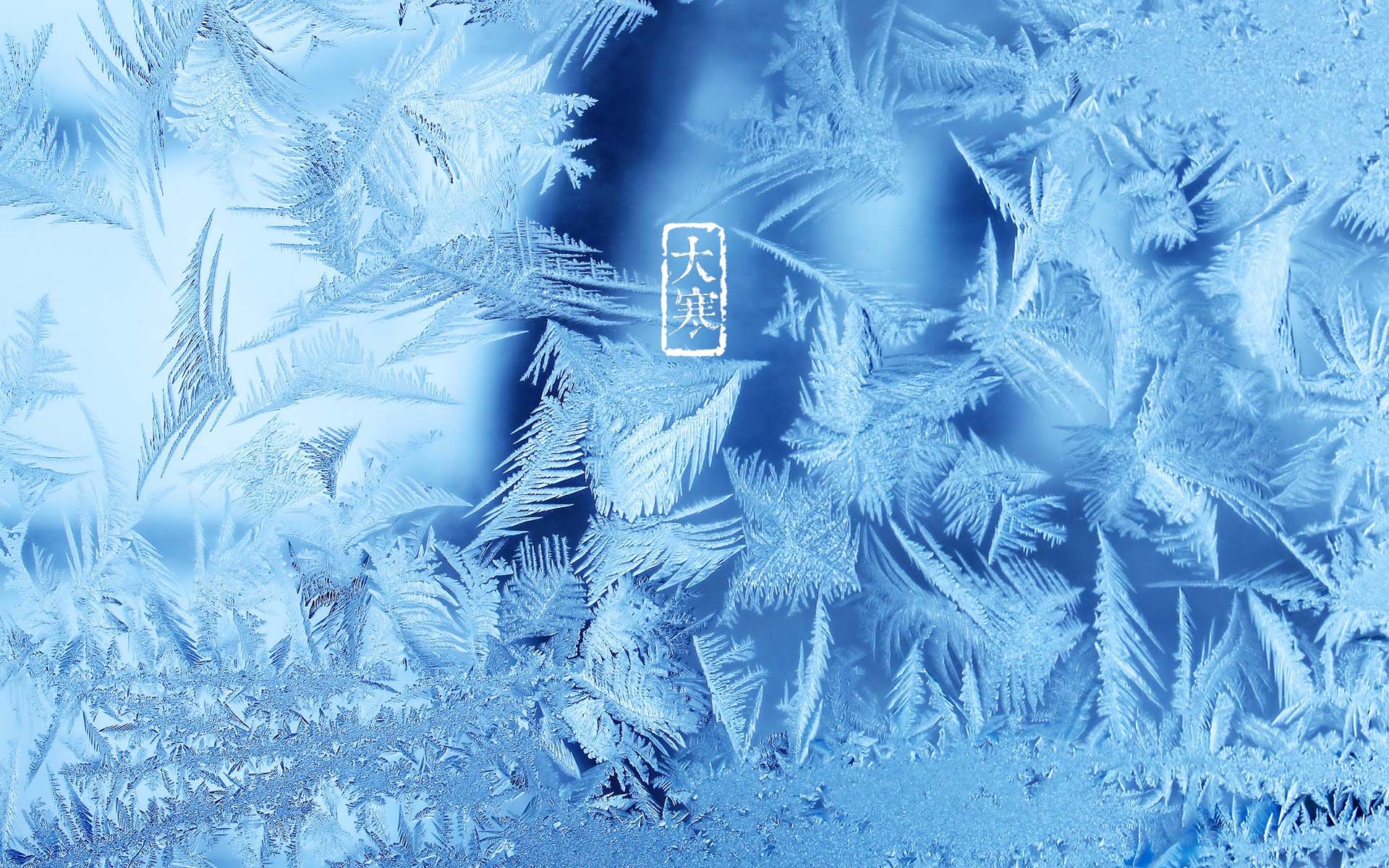 节日美图 大寒 寒冷 二十四节气 宽屏