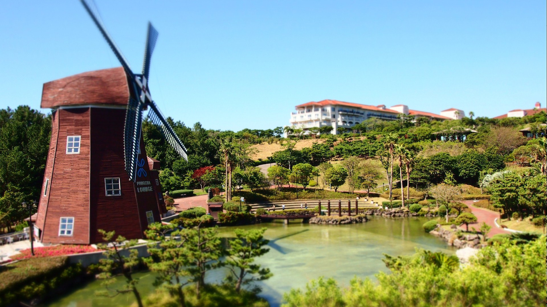 风景    风车    美丽     宽屏