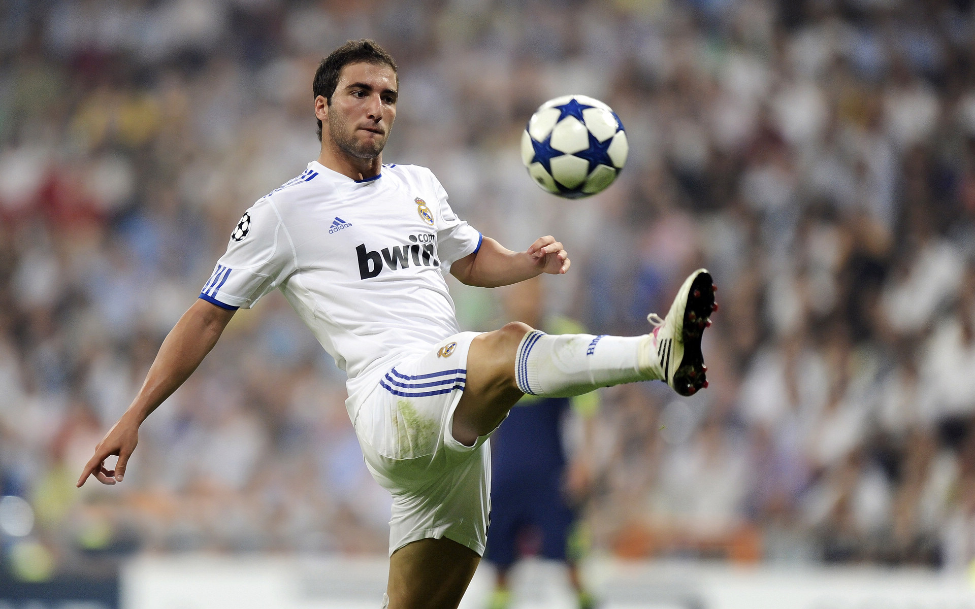 阿根廷球星  冈萨洛·伊瓜因