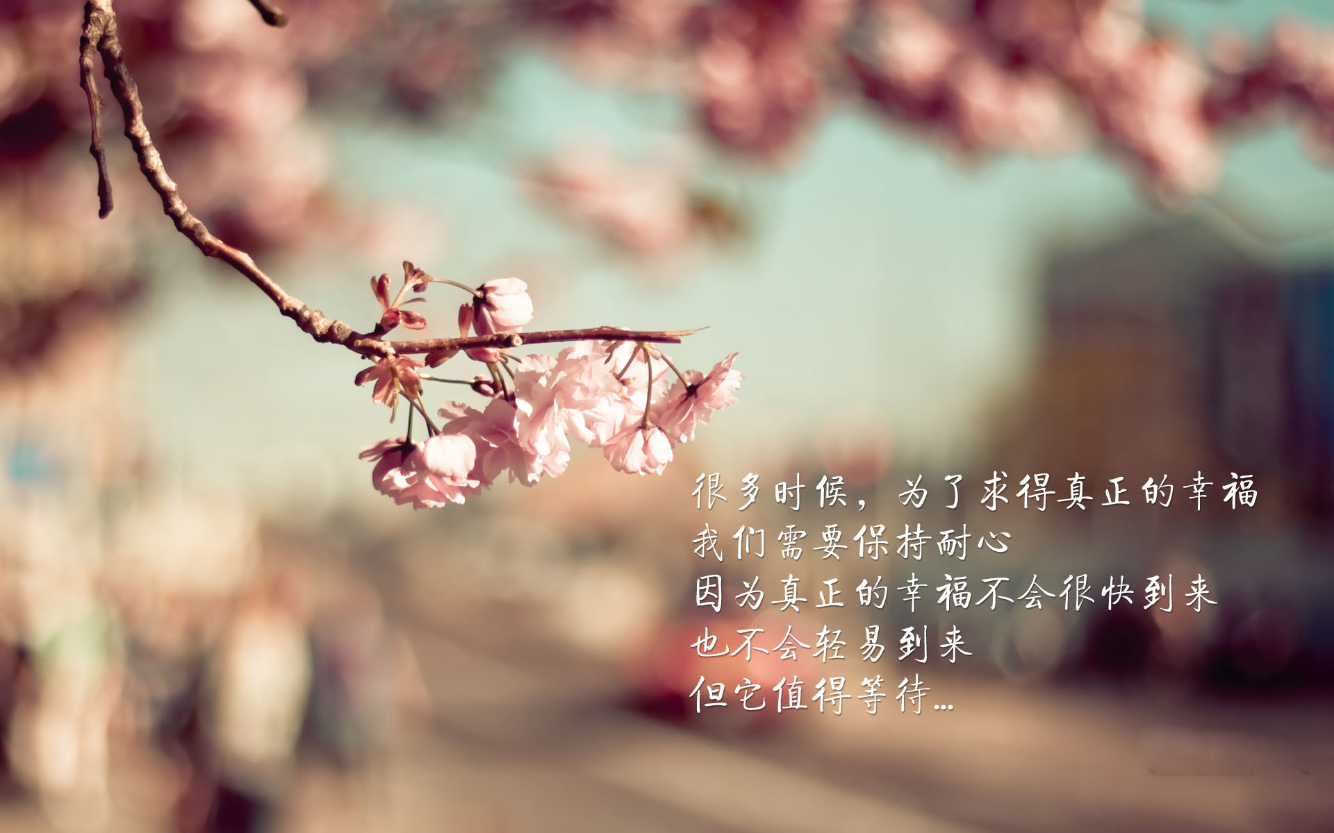 桃花 幸福 文字