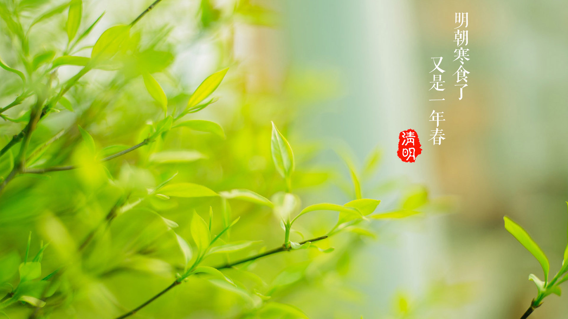 节日 清明 寒食