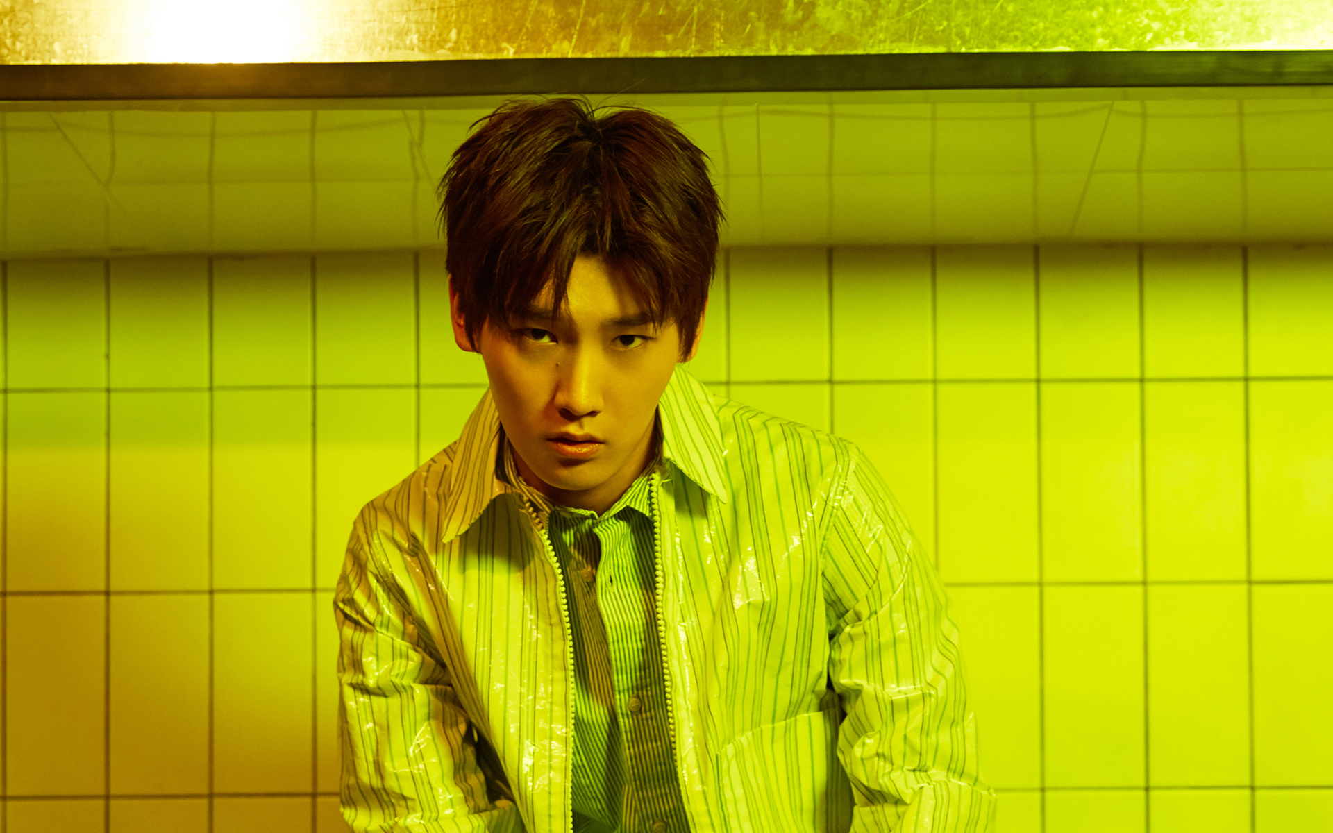 内地明星 邢昭林