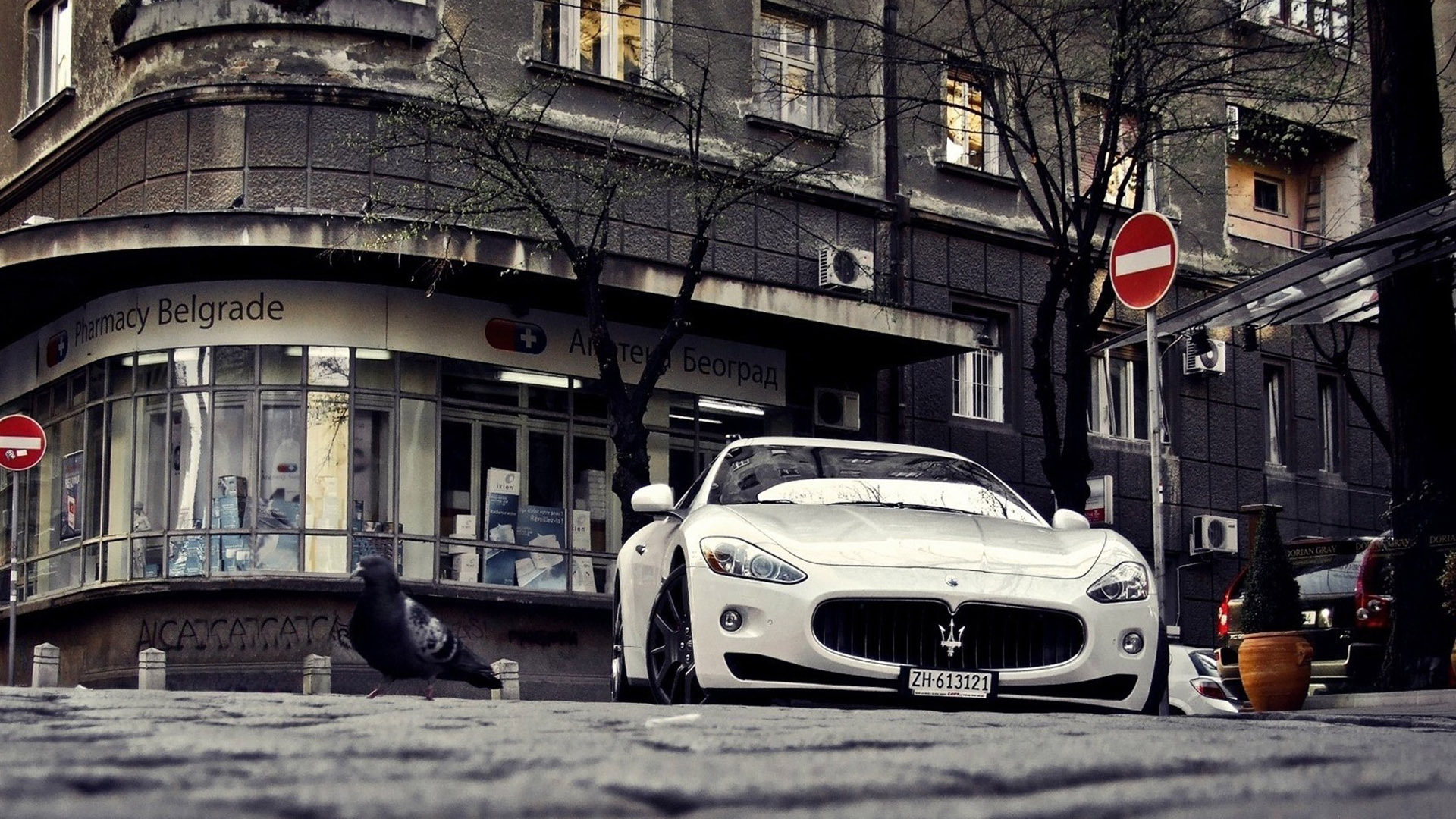 玛莎拉蒂 白色轿车