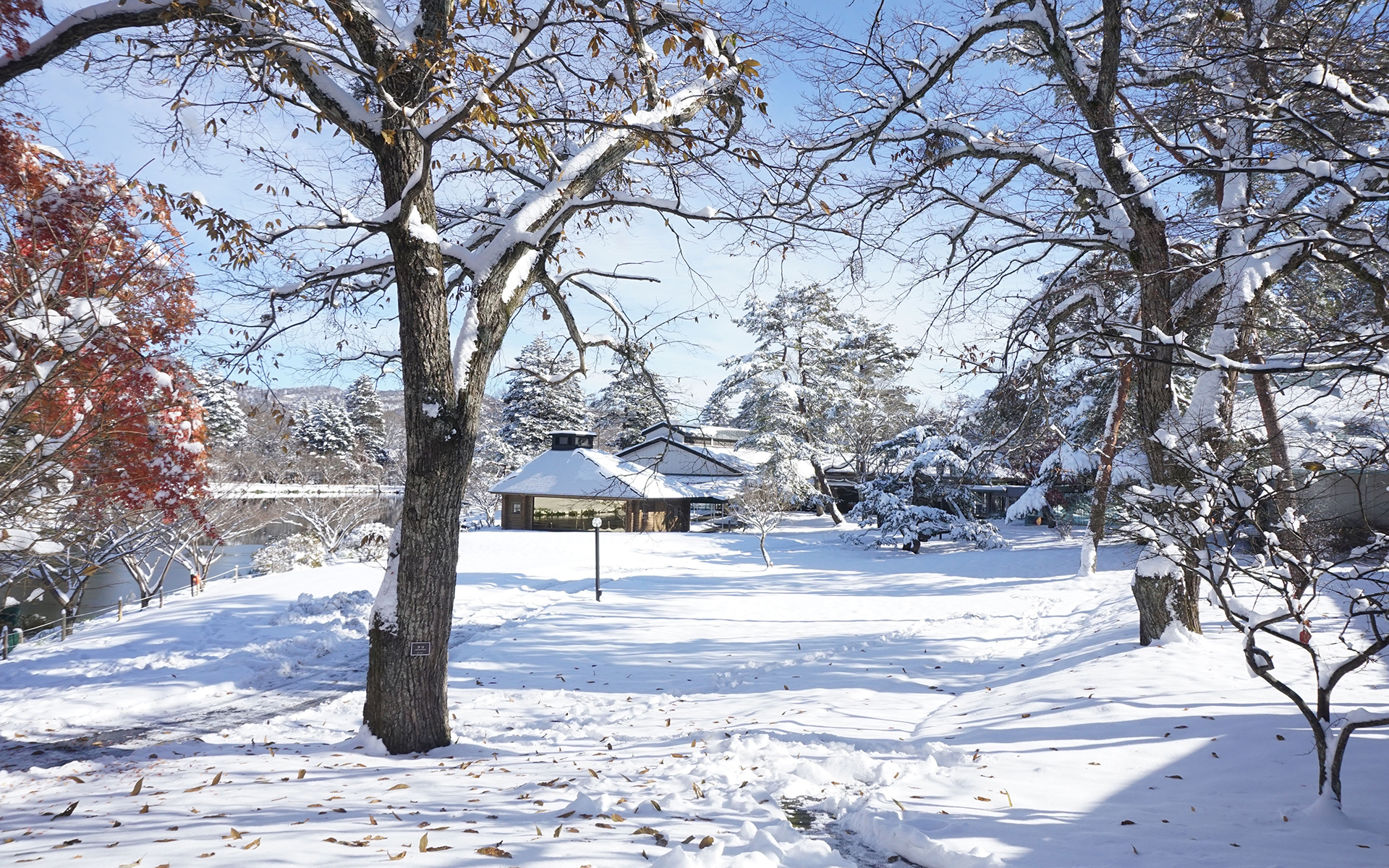 冰天雪地  冬季  唯美  雪景