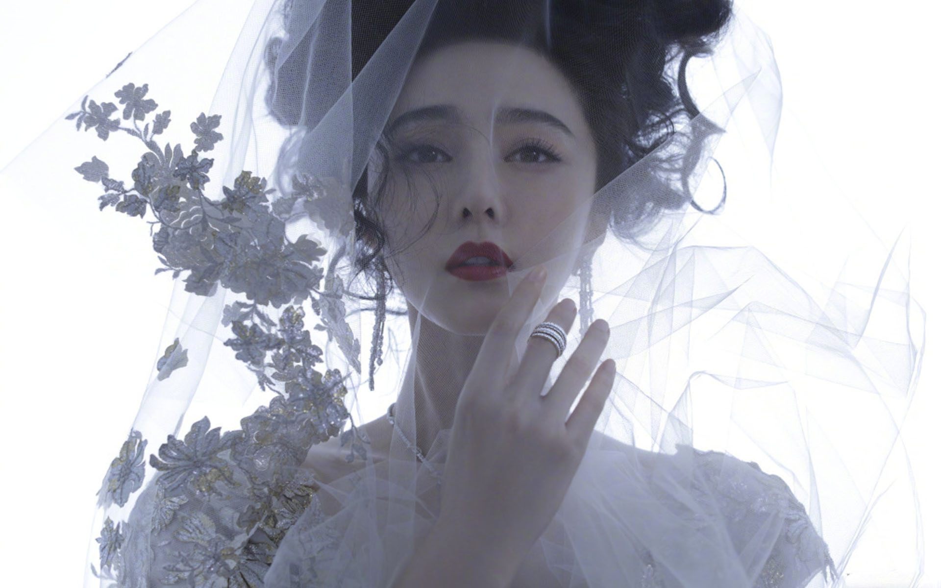 内地明星 范冰冰