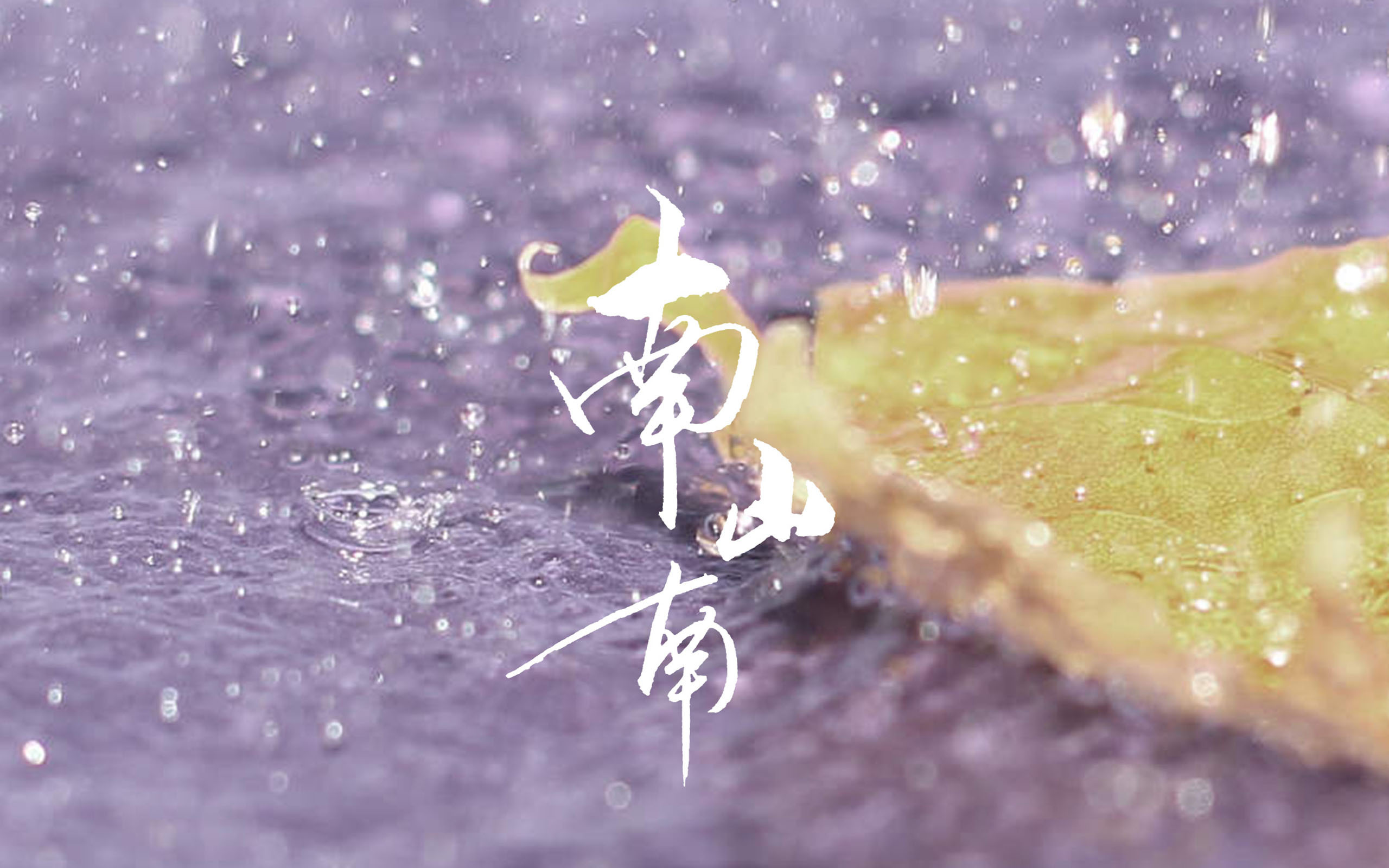 文字 歌词 南山南