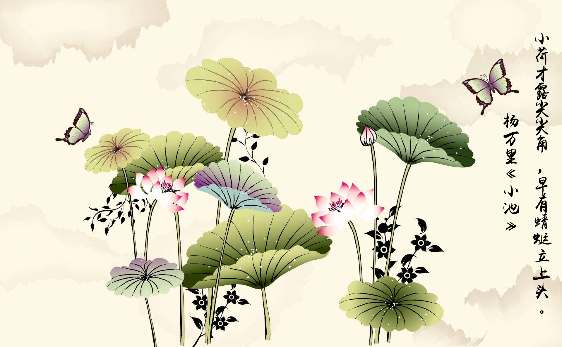 文字 诗词 中国风 杨万里 小池