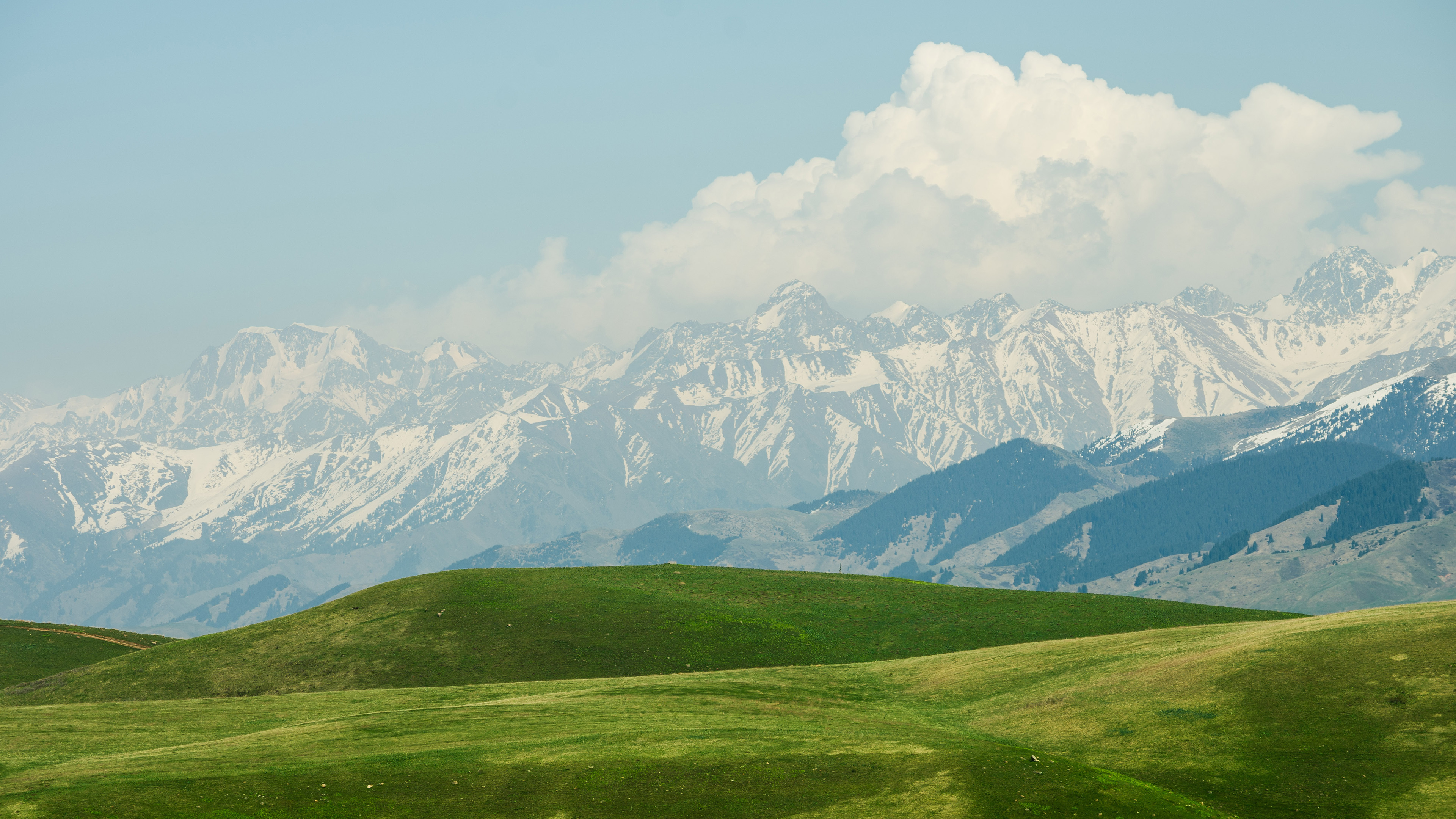蓝天白云 草原 雪山 纯净