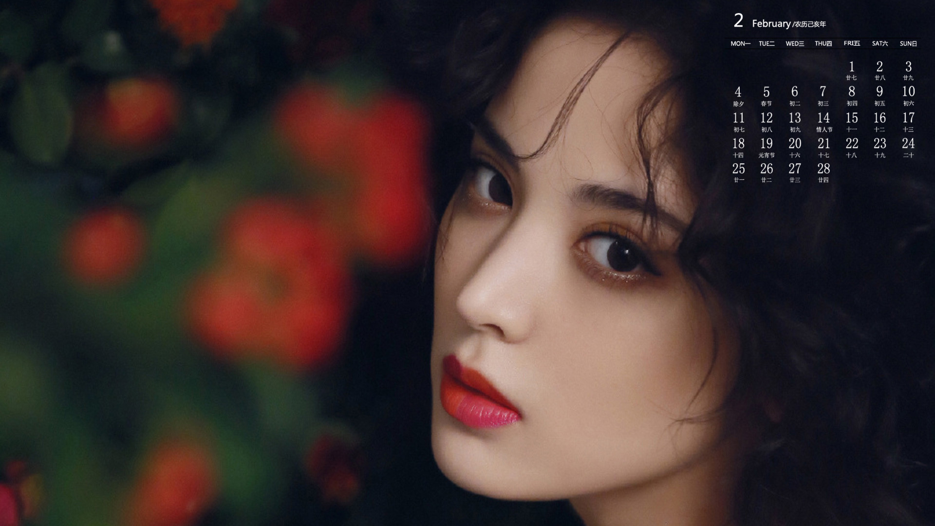 月历 2019年2月
