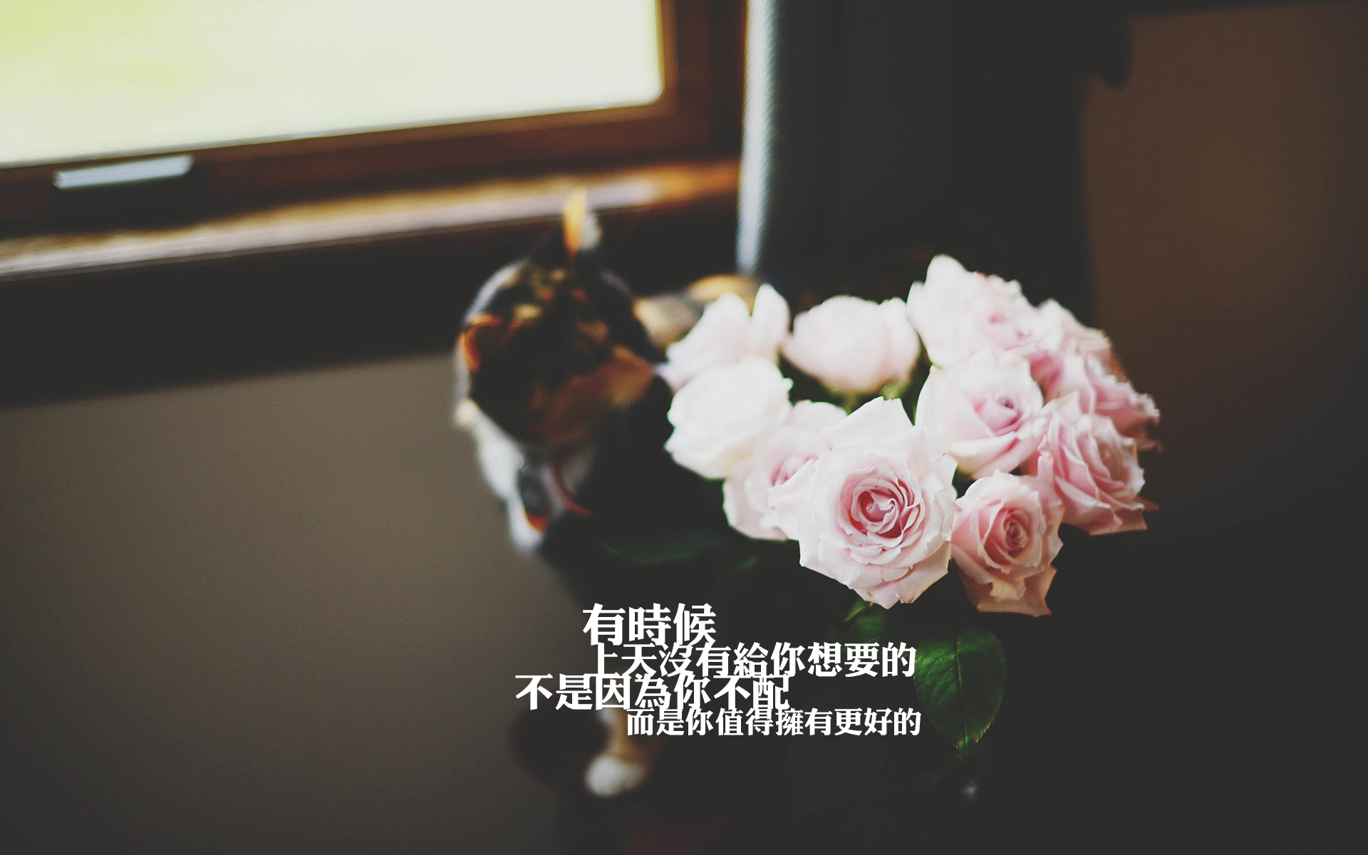 爱情 爱情箴言 温馨 感动 宽屏