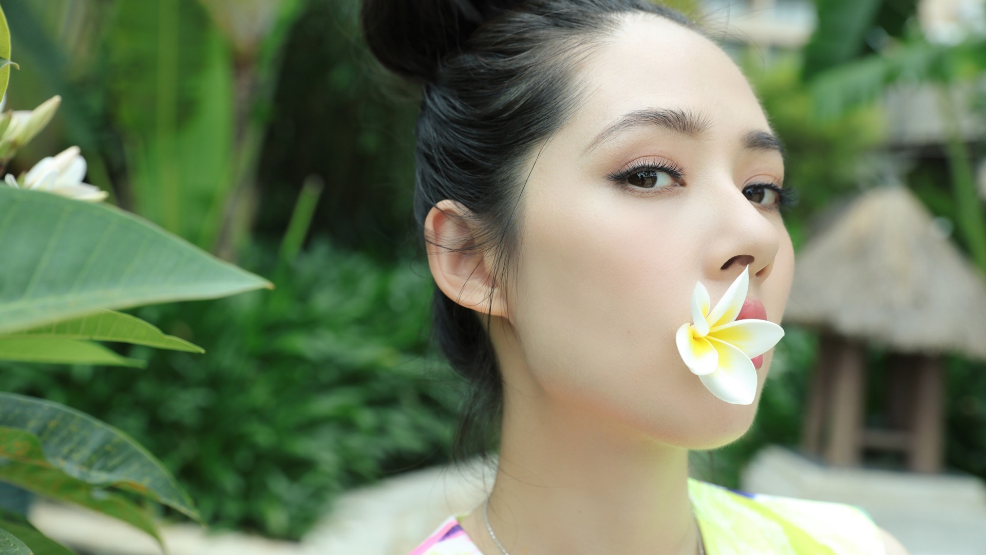 港台明星 郭碧婷