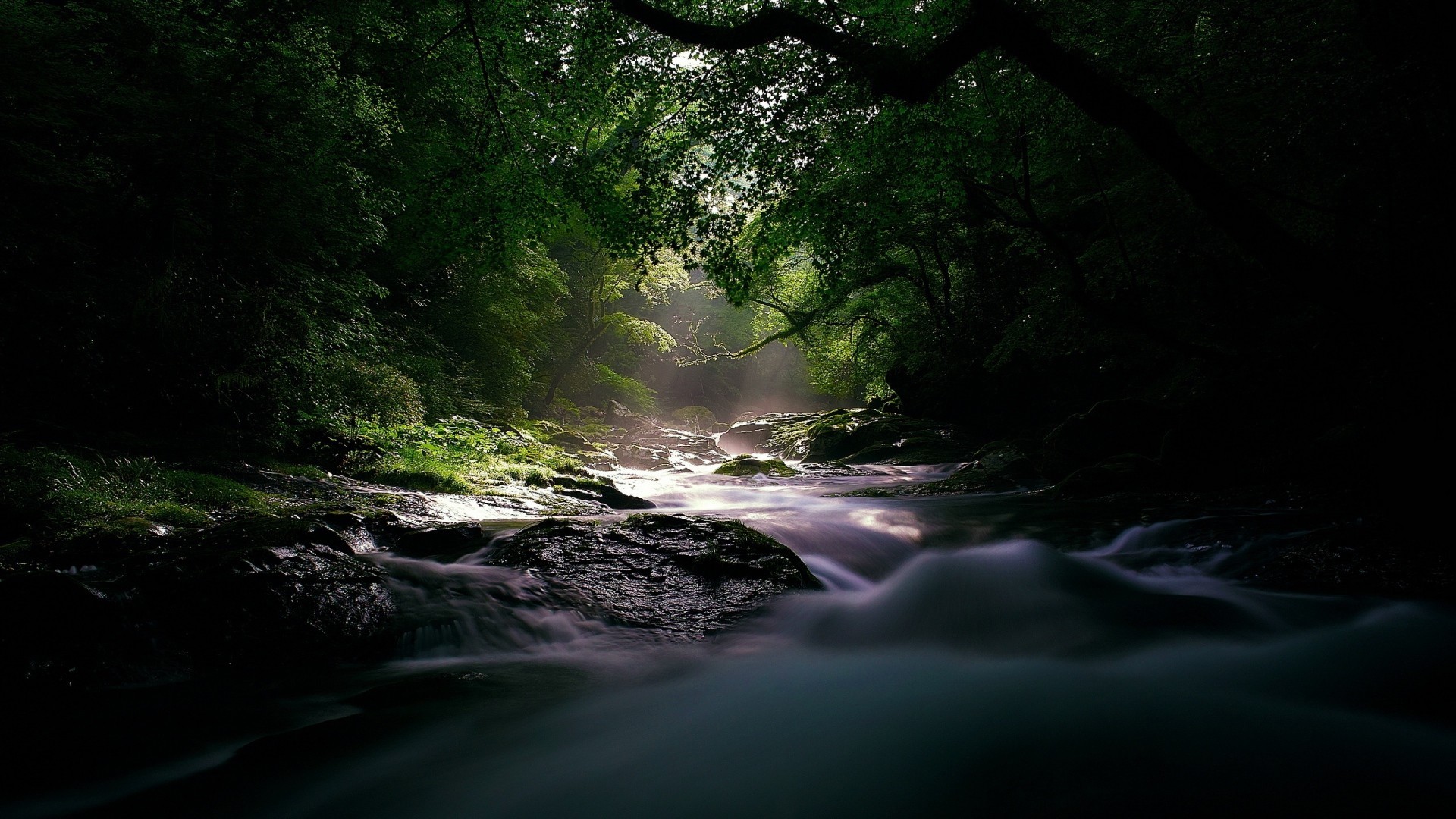 风景 自然风光 小溪 溪流