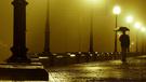 风景 细雨蒙蒙 城市夜景 儿童桌面专用