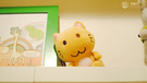 小清新 静物写真 玩偶 皮揣子猫 儿童桌面专用