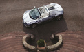 Bugatti Veyron 布加迪 白金 跑车 汽车 宽屏  2012Y十月31D 儿童桌面专用