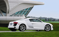Audi R8  奥迪 跑车 宽屏  2012Y十月31D 儿童桌面专用