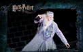 哈利 波特 凤凰社 影视 2012Y十一月12D