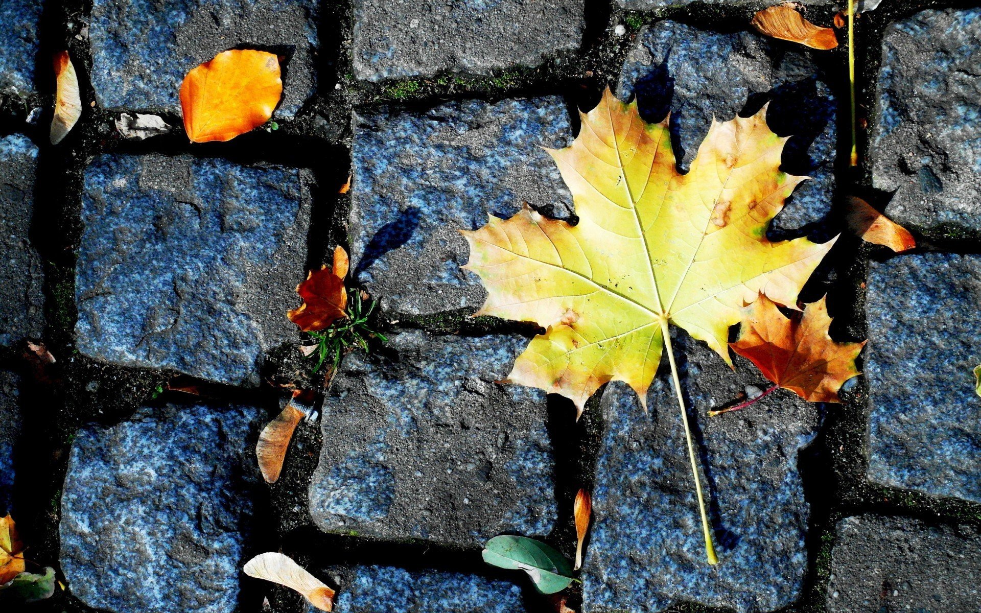 小清新 风景 摄影 儿童桌面专用