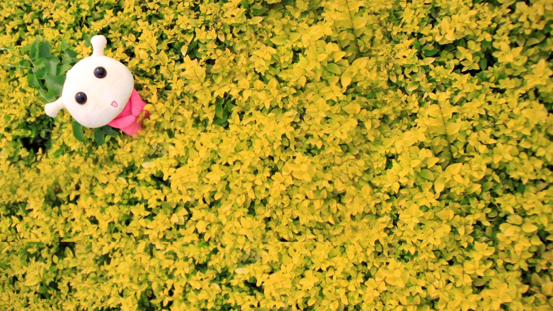 小清新 意境 LOMO 非主流 儿童桌面专用