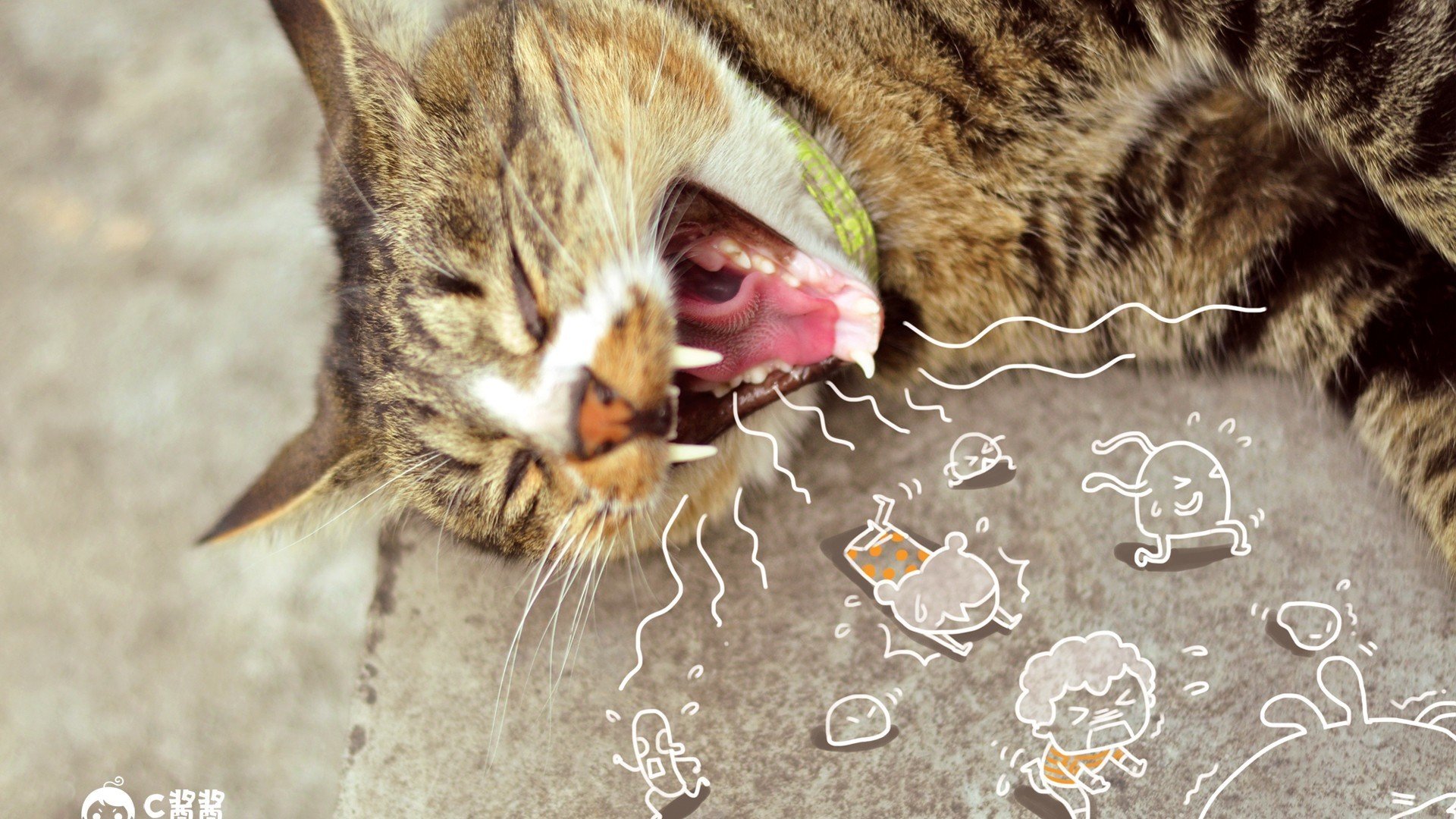 萌宠 动物 喵星人 猫咪 猫 手绘 恶搞 可爱 萌物 儿童桌面专用